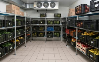 Cámaras frigoríficas en Murcia: cómo elegir la solución adecuada para tu negocio